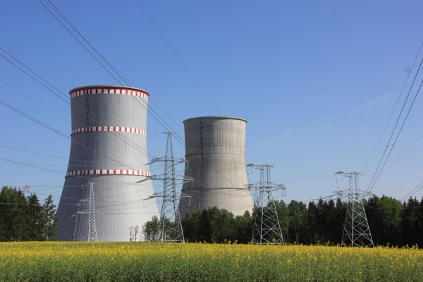 Белорусские специалисты изучили опыт перегрузки топлива на Ростовской АЭС