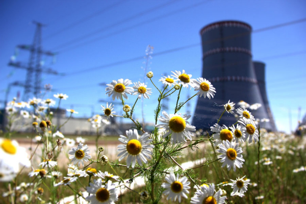 Атомная энергетика способна помочь в борьбе с изменением климата - польский эксперт