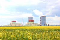 Европейская группа регулирующих органов в сфере ядерной безопасности одобрила отчет по итогам проведения стресс-тестов БелАЭС