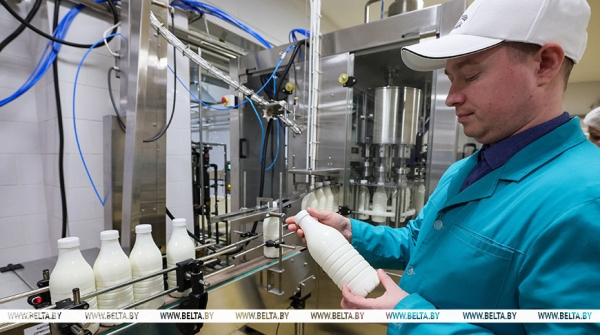 По несколько проектов на район! Как инициатива Президента делает регионы сильными