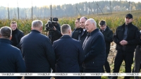 Смелый эксперимент, северная стратегия, учеба для военных и народное ополчение. Итоги недели Президента