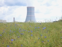 Diagnostic measures are being carried out at the second power unit of  Belarusian NPP